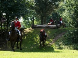 320204_10151090367548585_23800622_n